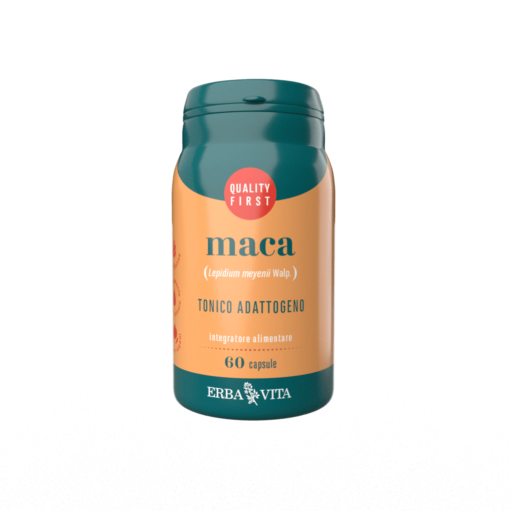 MACA 60CPS EBV