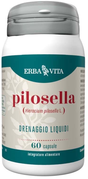 Pilosella – 60 Kapseln EBV