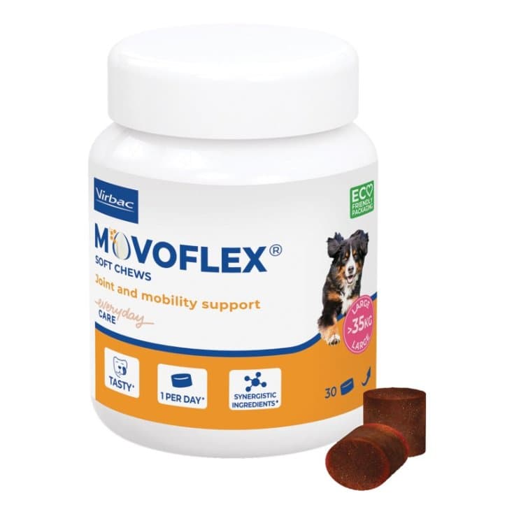 Movoflex L – 30 compresse masticabili