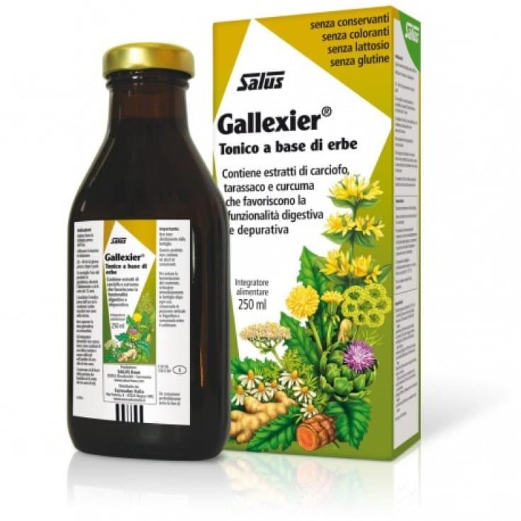 Gallexier Sirup – 250 ml mit Artischocke