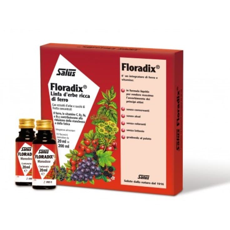 Floradix-Ferro – 10 flaconcini da 20 ml