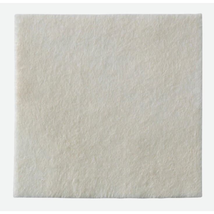 Biatain Alginate Ag – Garza 10×10 cm con argento