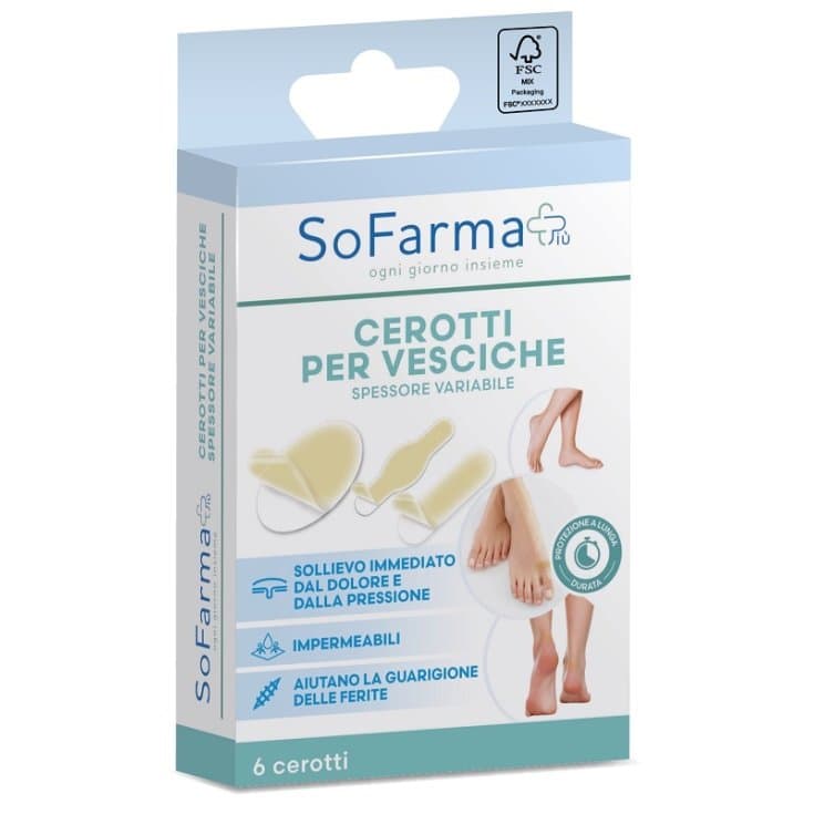 Blasenpflaster Sortiert – 6er Pack