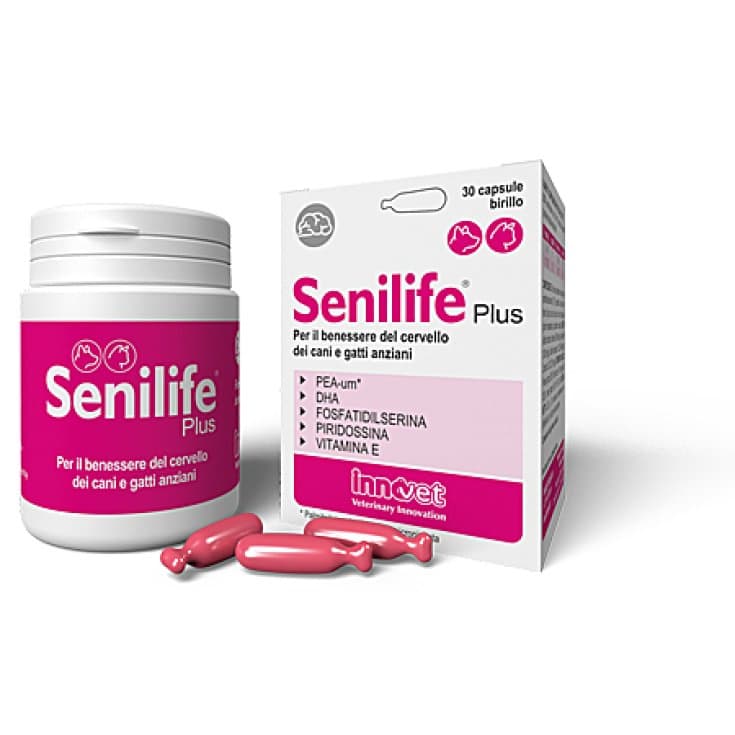 Senilife Plus – 30 Kapseln