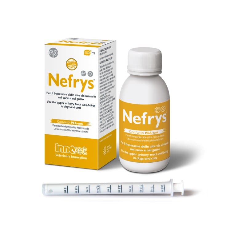 NEFRYS NEW 100 100ML C/SIR DOS