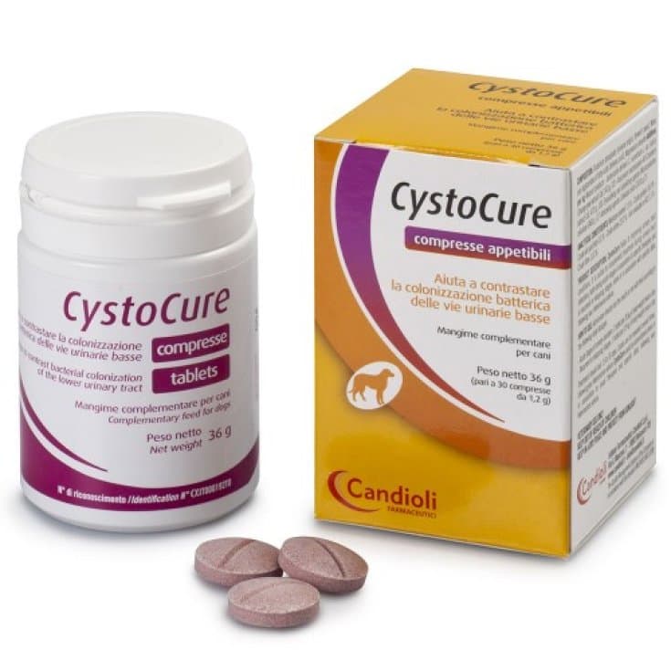 Cystocure Forte – 30 capsule