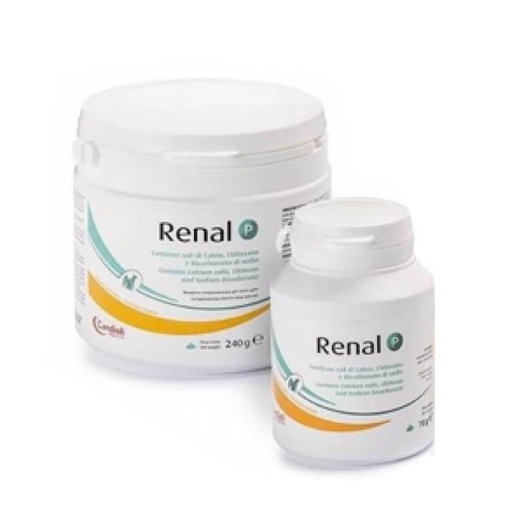 RENAL P 240G