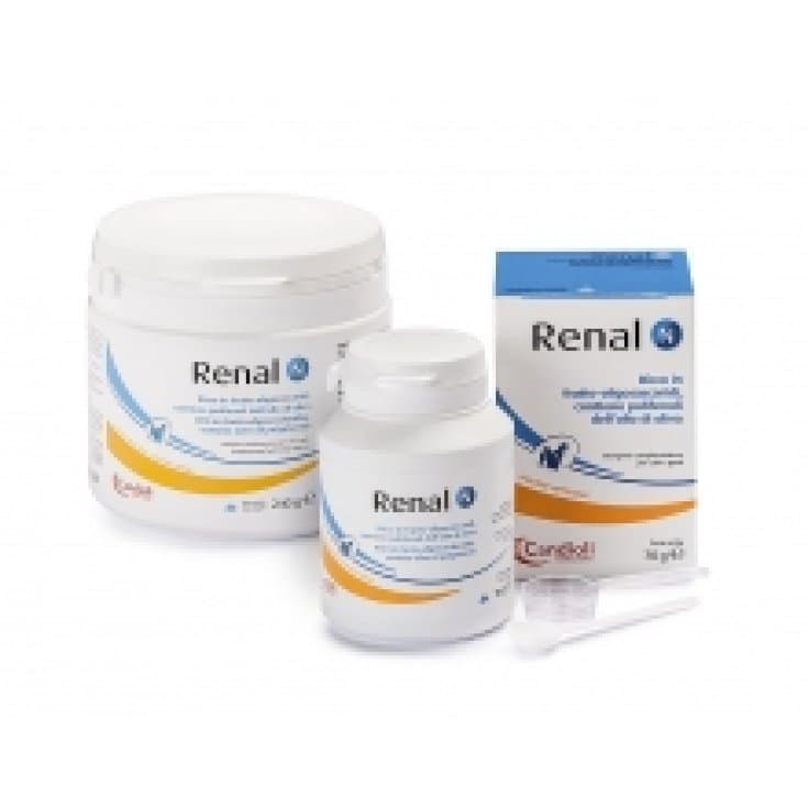 RENAL N 240G