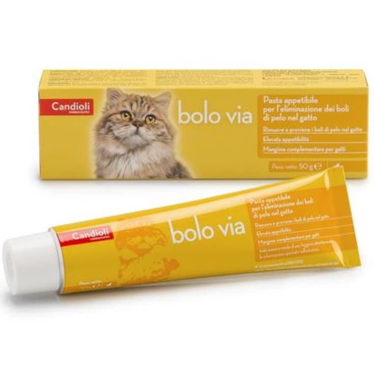 Bolo Via Pasta Gatti – 50g