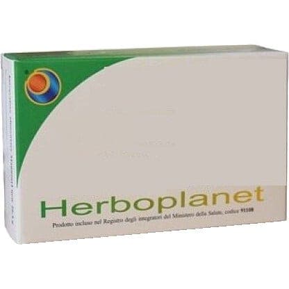 HS112 Ananas Comp – 48 Tabletten