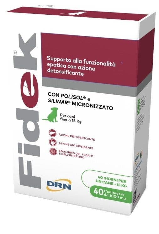 DRN Fidek – 40 Tabletten à 1 g