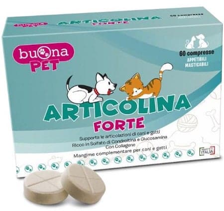 Articolina Forte – 60 Tabletten