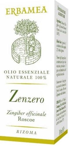 Zenzero Tropfen – 10 ml