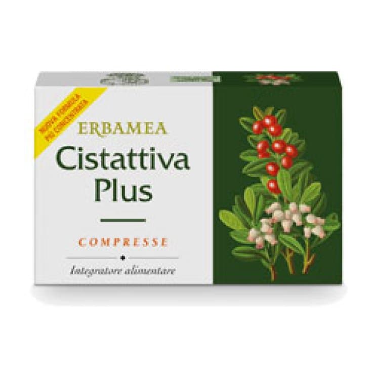 Cistattiva Plus – 24 Tabletten