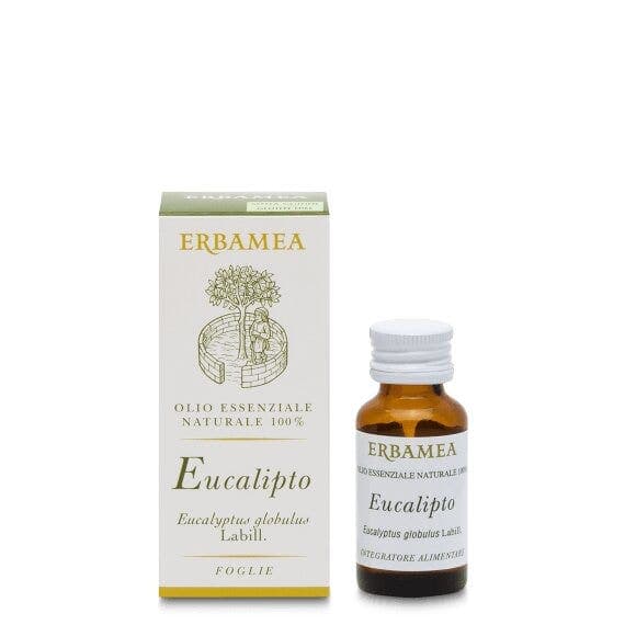 Eukalyptus Ätherisches Öl Bio