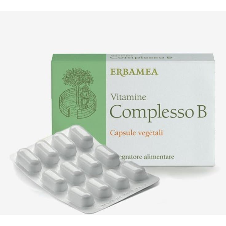 Complesso Vitaminico B Vegan – 24 capsule