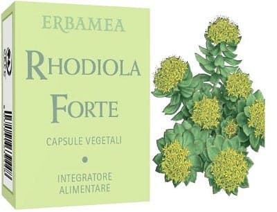 Rhodiola Forte Kapseln – Erbamea