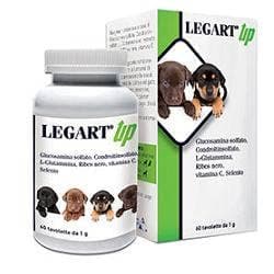 Legart Up – 60 Tabletten