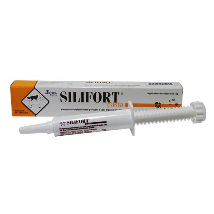 Silifort Pasta Orale – 30 g Spritze