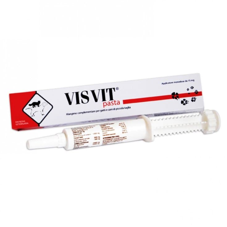Visvit Pasta – 15 g Siringa