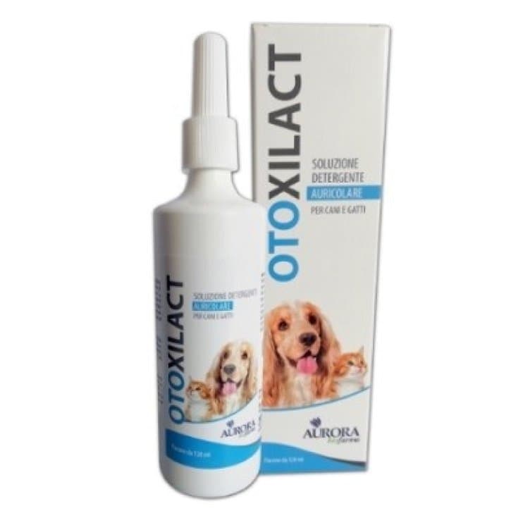 OTOXILACT DETERGENTE AURICOLA