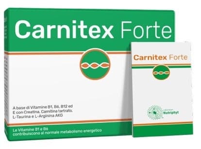 Carnitex Forte – 14 bustine