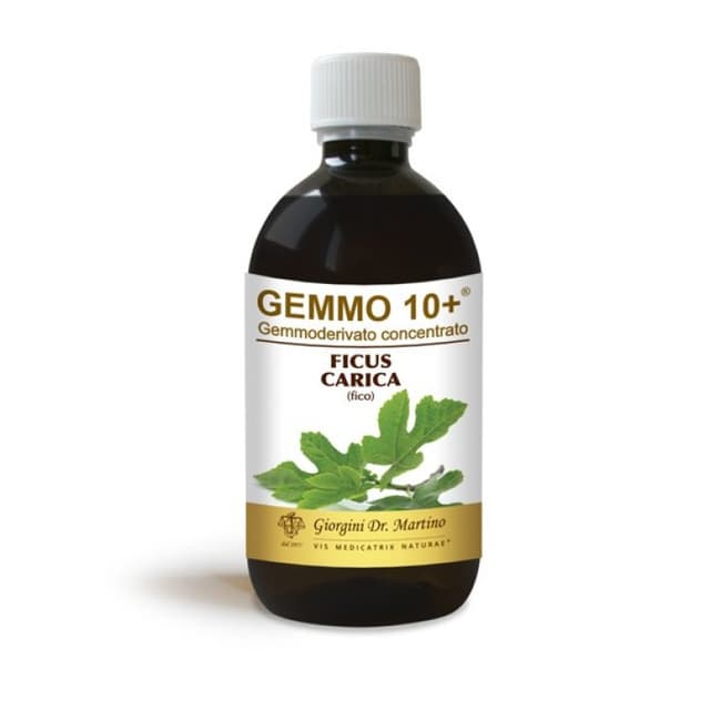 Fico Estratto di Gemme – 500 ml senza alcol