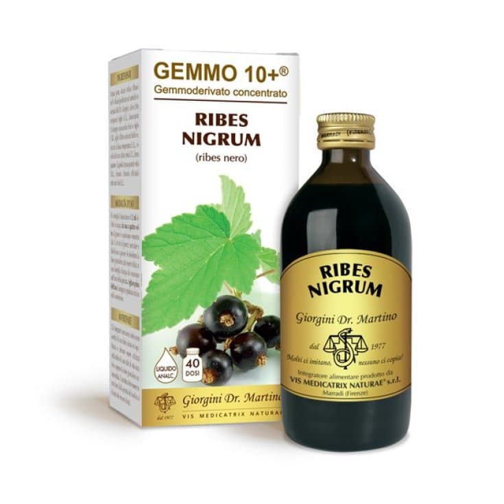 Ribes Nero Analcolico – 10 ml + 200 ml Giorgio Bertoni