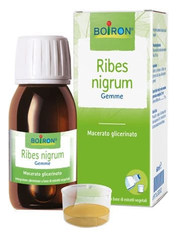 Ribes Nigrum Madre – 60 ml Integratore
