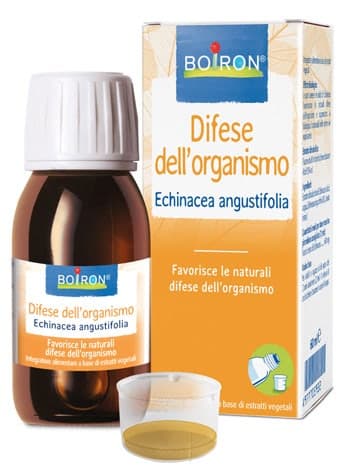 Estratto di Echinacea Angustifolia – 60 ml Gocce