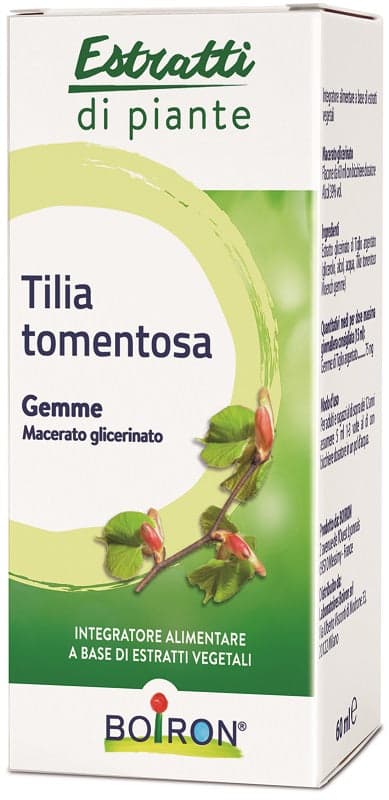 Tilia tomentosa Mutter-Tinktur – 60 ml | Boiron