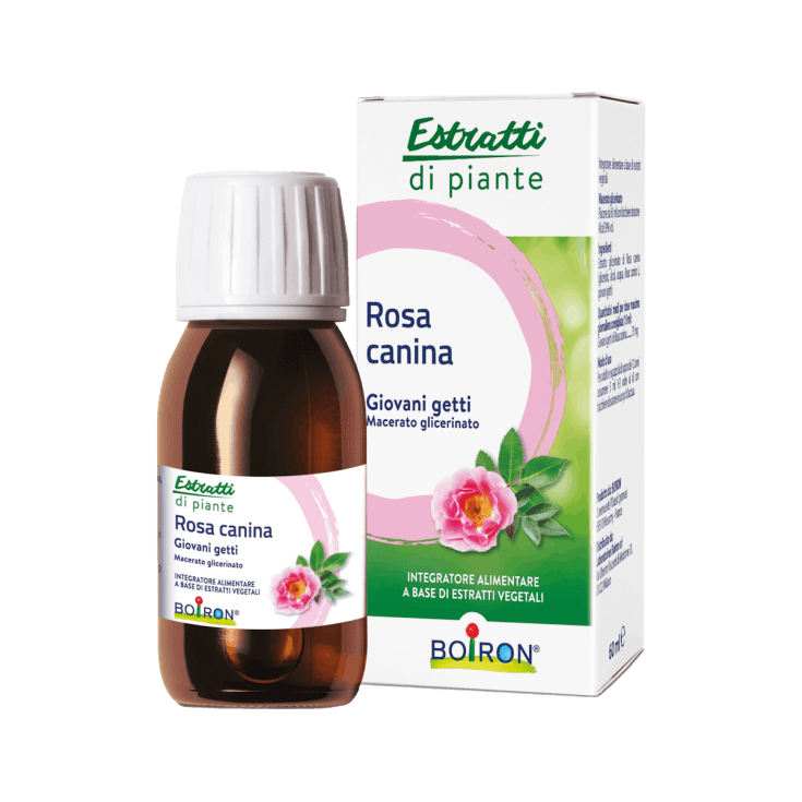 Rosa Canina Madreglicerinato – 60 ml