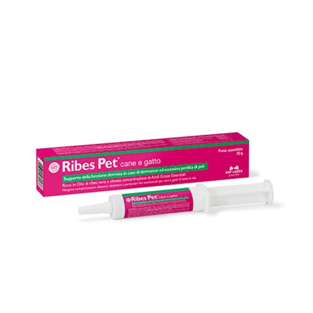 NBF Lanes Ribes PET Pasta – 30 g Integratore Topico