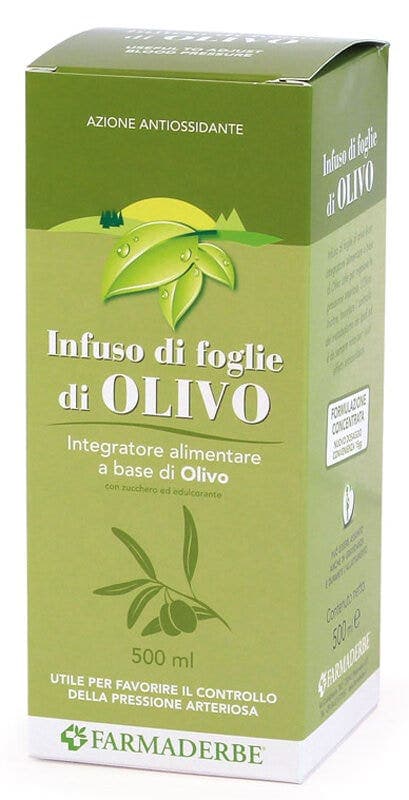 Olivo Infuso Foglie – 500 ml bottiglia