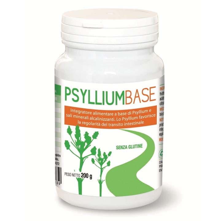 Psyllium Base Polvere – 200 g