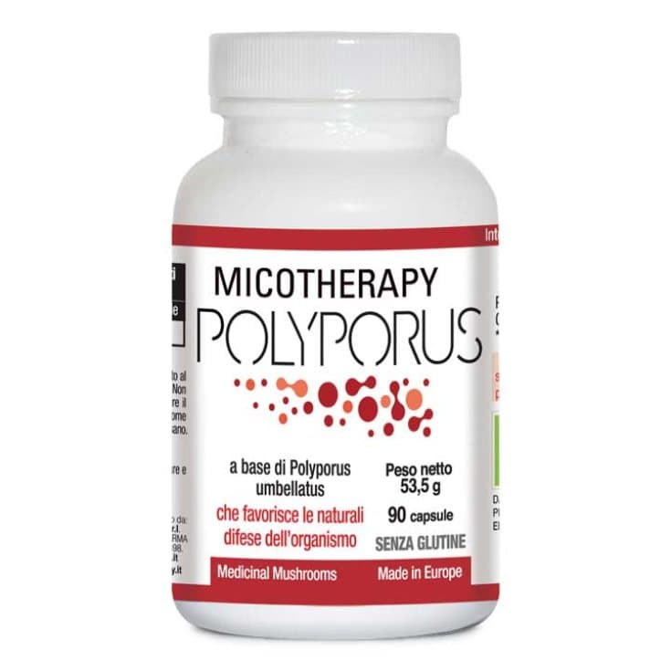 Micotherapy Polyporus – 90 capsule