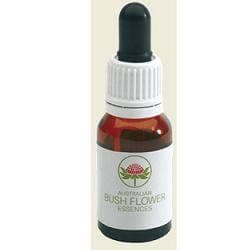 She Oak Australian – 15 ml gocce