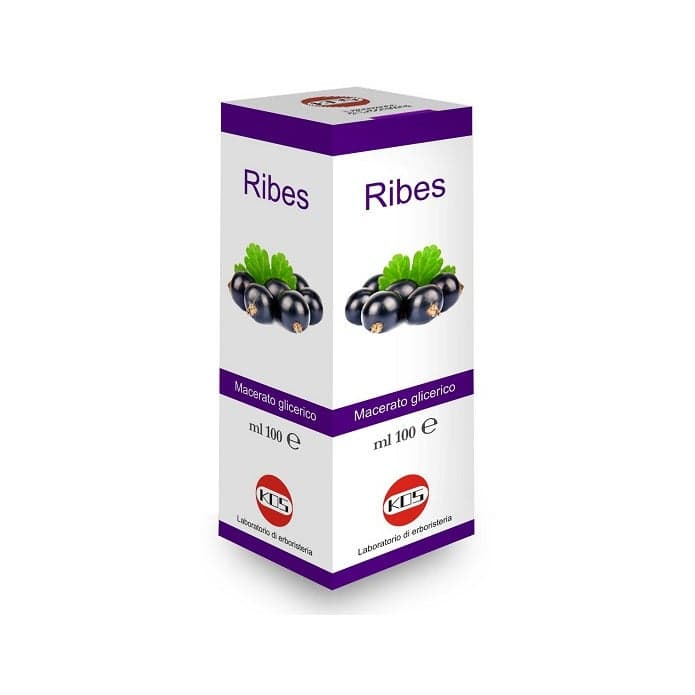 Ribes Nigrum MG – 100 ml Tropfen