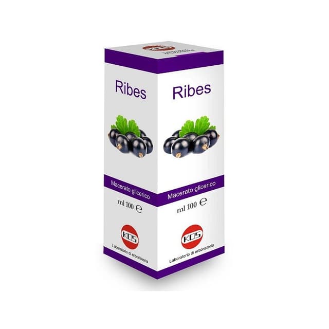 Ribes Nigrum MG – 100 ml gocce