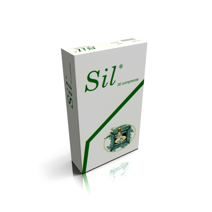 Sil Integ Silimarina mit Vitamin E