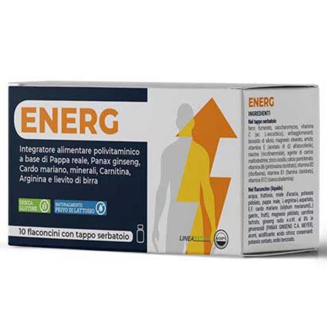 Energ-Integ 10 Ferro + Multivitaminico – 10 fiale da 10 ml