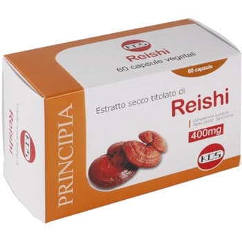 Reishi Extrakt Trocken KOS – 60 capsule