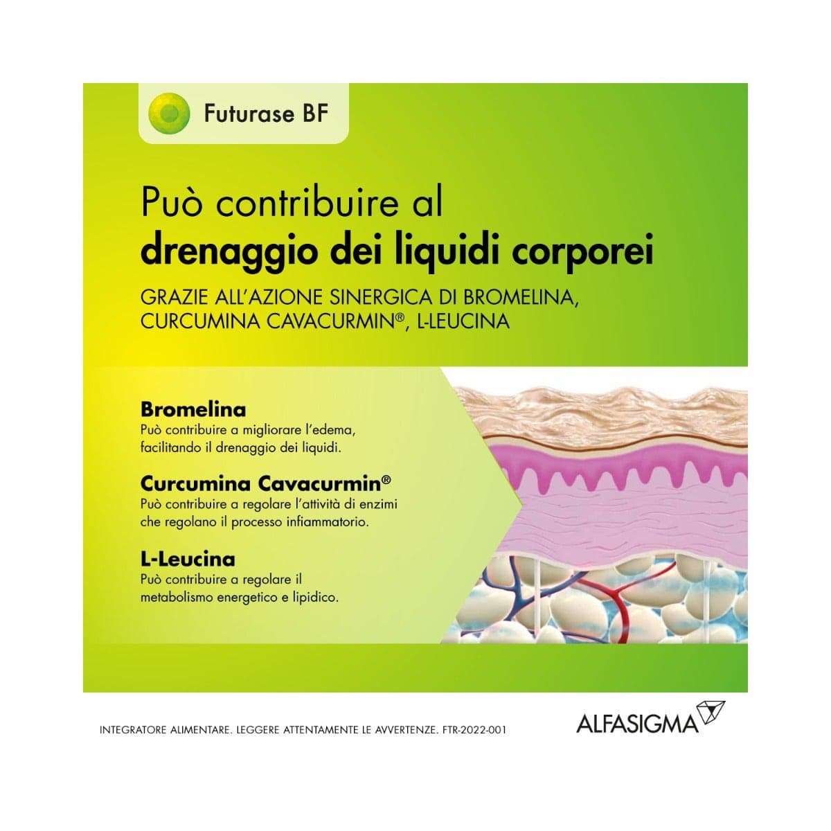 Futurase BF L-leucina + Curcuma – 10 bustine da 5 g