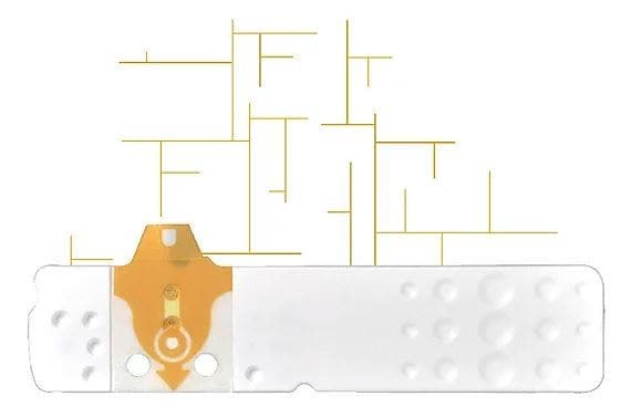 Linea d'Oro Glicemia – 25 strisce