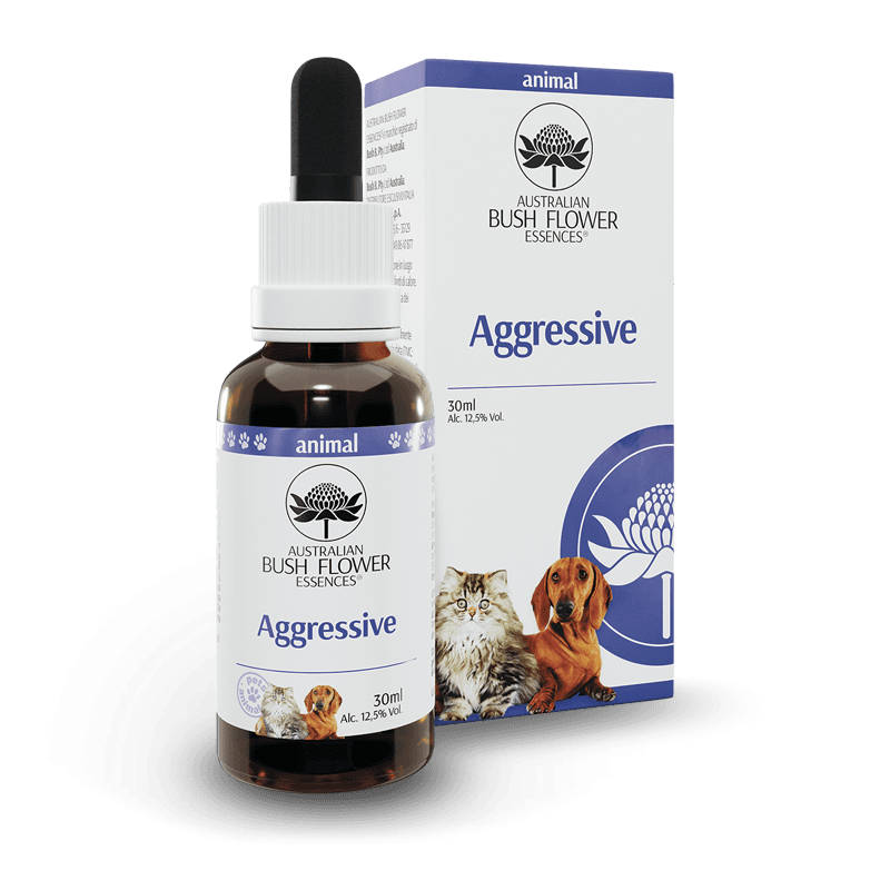 Aggressive 30 ml – Concentrato per uso esterno