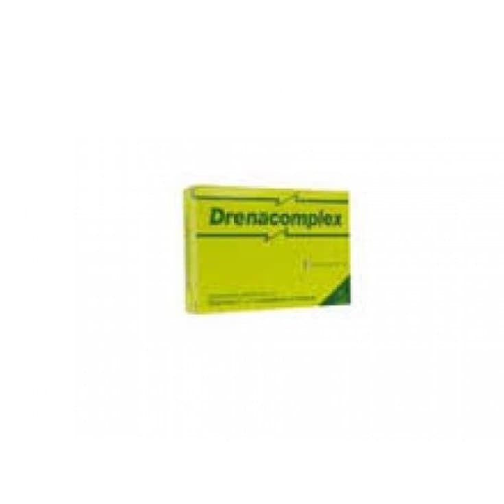 Drenacomplex Integ – 20 Kapseln à 600 mg