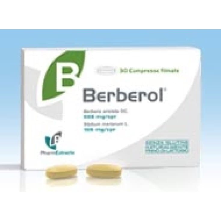Berberol – 30 Tabletten, 28,9 g