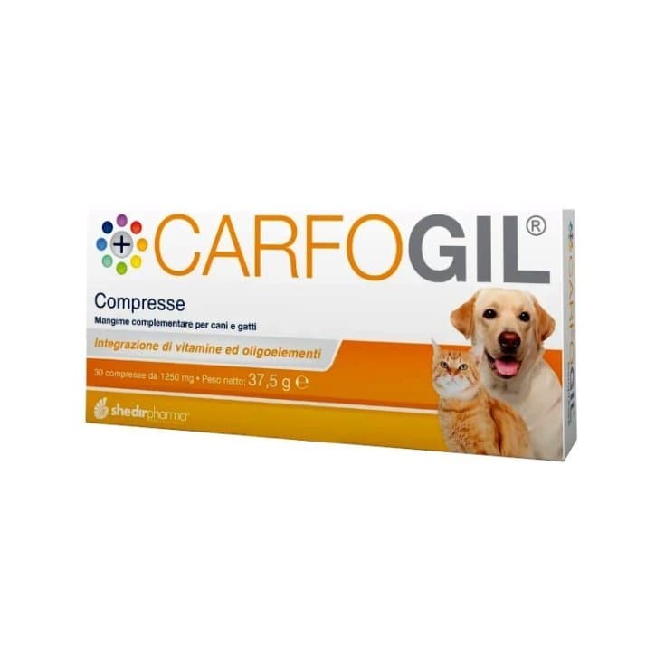 Carfogil – 30 Tabletten