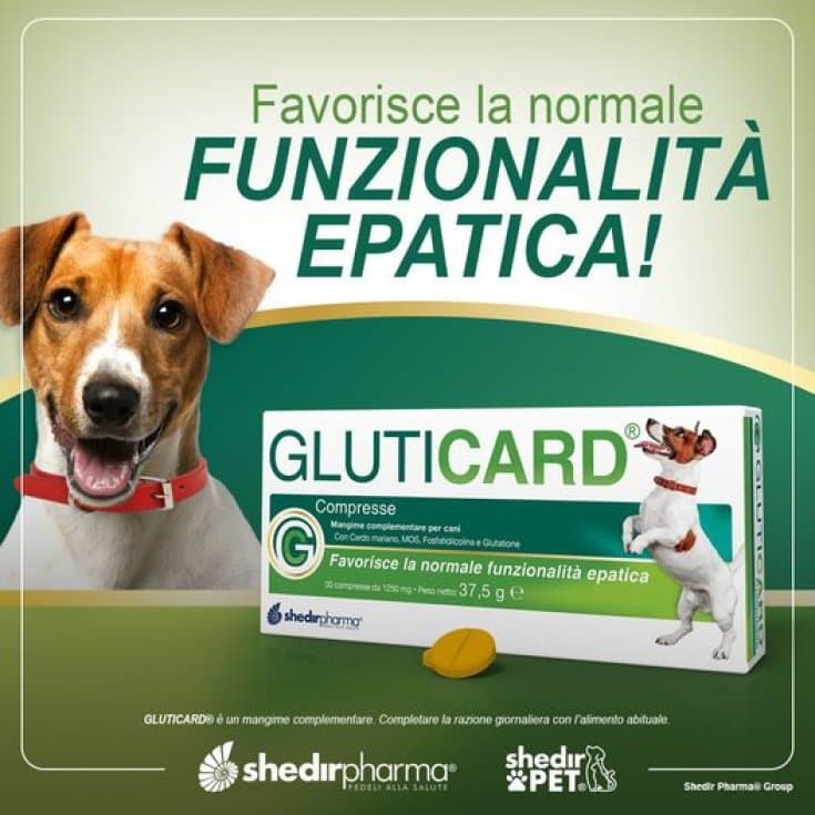 Gluticard – 30 compresse (divisibili)