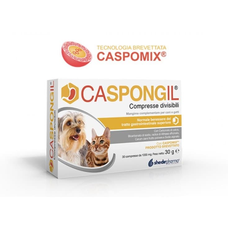 Caspongil – 30 Tabletten teilbar